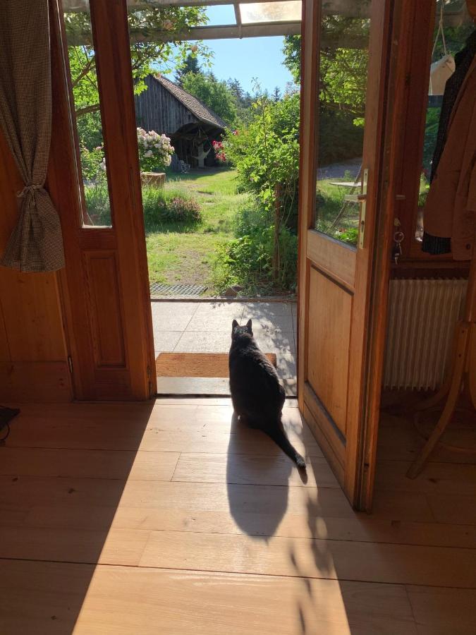 Le Manoir Des Sens - Foret De Bergheim Kültér fotó