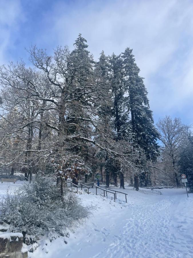 Le Manoir Des Sens - Foret De Bergheim Kültér fotó