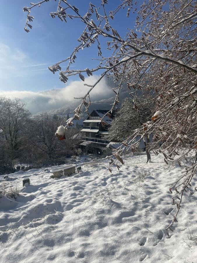 Le Manoir Des Sens - Foret De Bergheim Kültér fotó