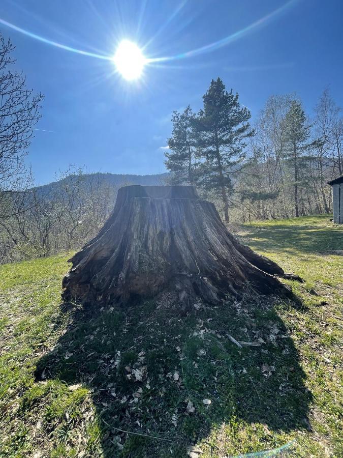 Le Manoir Des Sens - Foret De Bergheim Kültér fotó